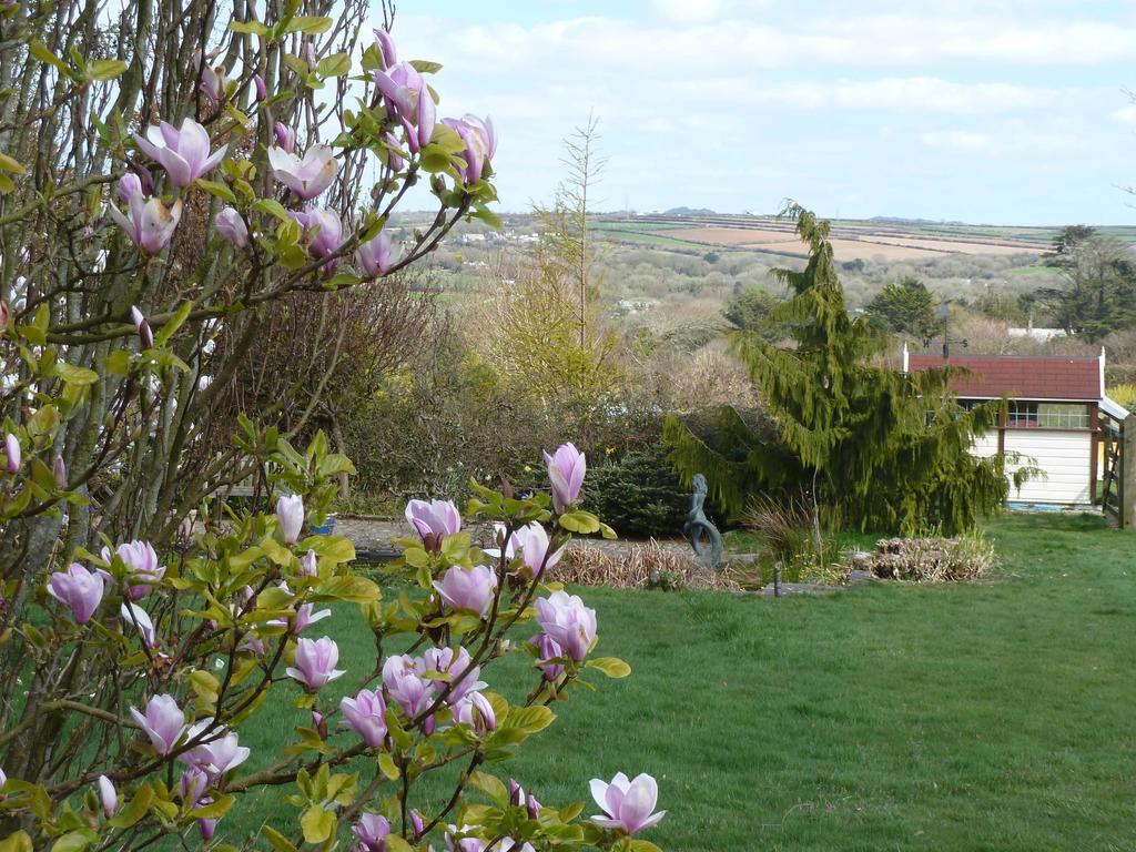 The White Cottage B&B Saint Teath Esterno foto