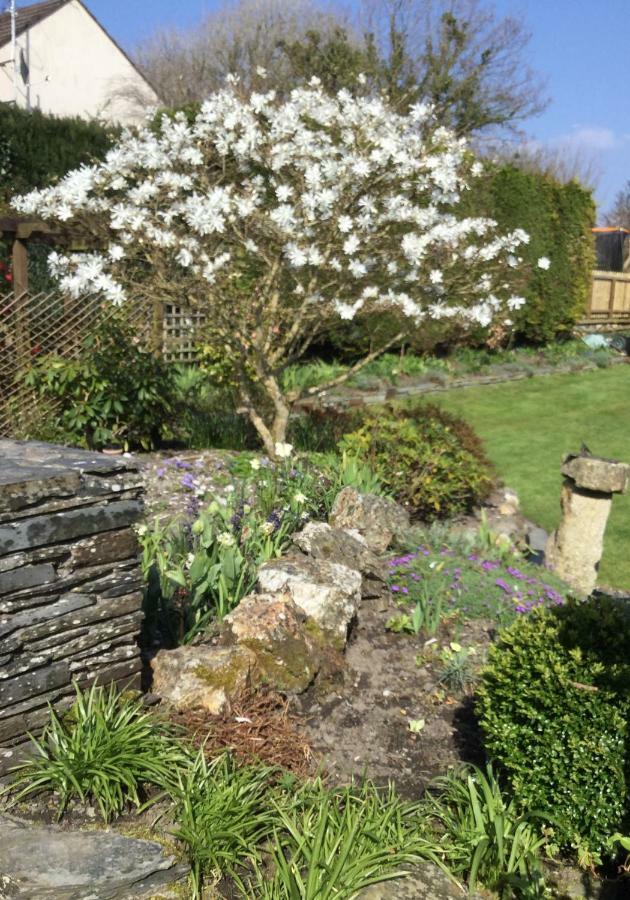 The White Cottage B&B Saint Teath Esterno foto